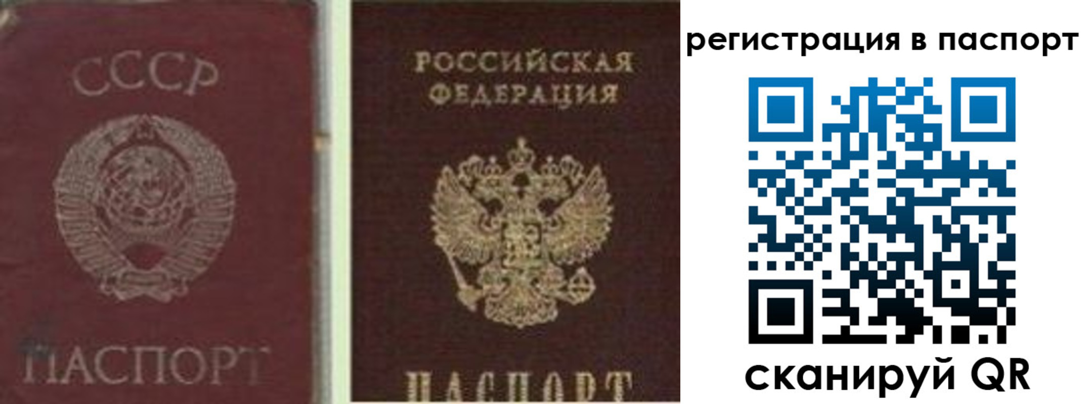 прописка для работы в Димитровграде