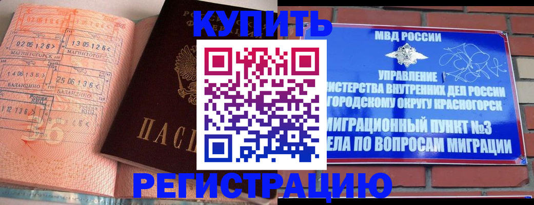 прописка 2025 в Димитровграде